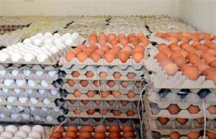 لا نية للارتفاع.. استقرار واضح في أسعار الفراخ والبيض اليوم الجمعة .. بوابة المساء الاخباري