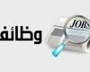وظائف
      وزارة
      التضامن
      الاجتماعي..
      الشروط
      ورابط
      التقديم - بوابة المساء الاخباري